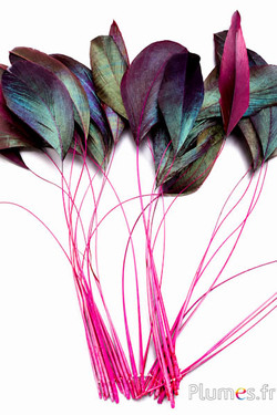 Coquetips - 12-17 cm - fuchsia-zwart